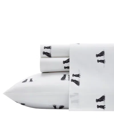 Eddie Bauer Printed 100% Cotton Percale 4-pc. Sheet Set, Queen In Labrador Fields