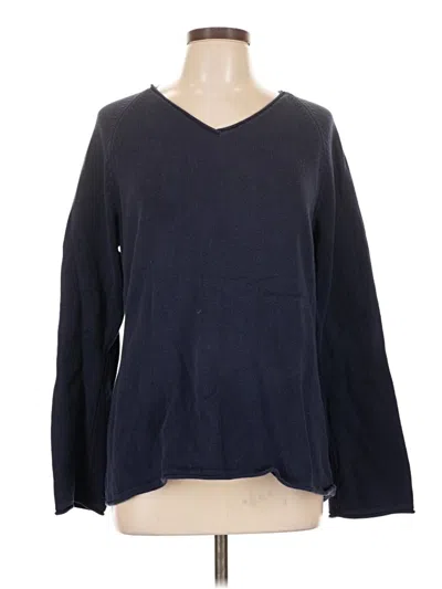 Pre-owned Eddie Bauer Pullover Sweater In Blue