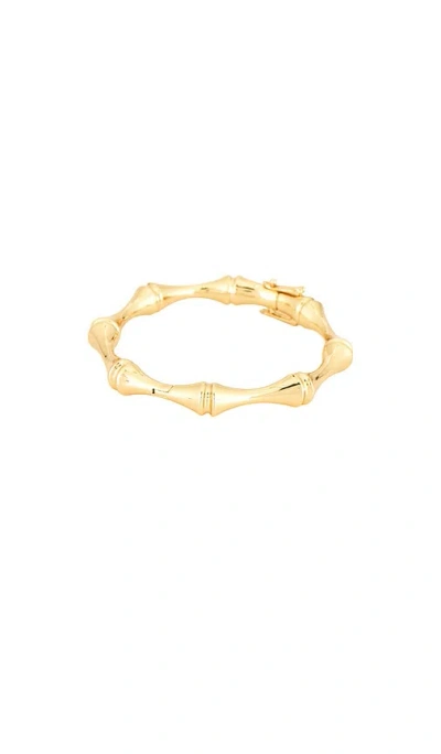 Eddie Borgo Bambu Bangle Bracelet In Gold