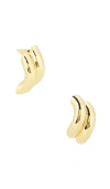 Eddie Borgo Rope Stud Earrings In Gold