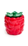 Edie Parker Raspberry Storage Jar In Red