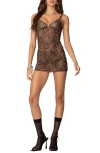 Edikted Leopard Print Mesh Minidress In Leopard