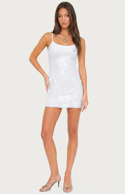 Edikted Caya Embroidered Floral Mesh Minidress In White