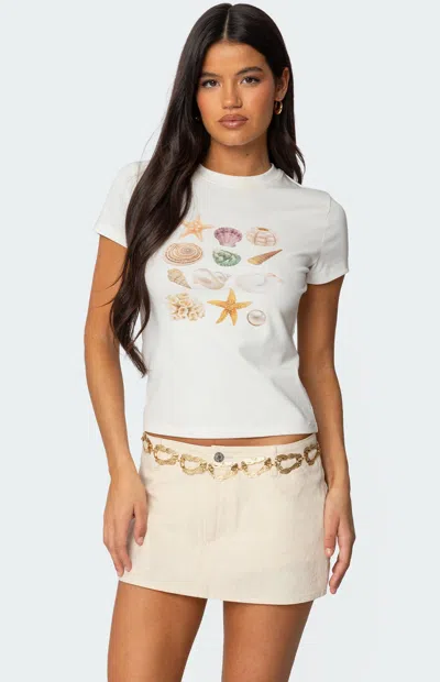 EDIKTED WOMEN'S SEASHELLS GRAPHIC T-SHIRT IN WHITE