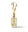 Edion No.31 Cello Suite Amber Harmony Diffuser In Transparent
