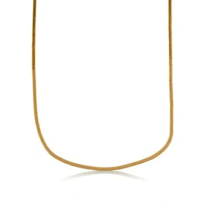 Edit & Oak Slinky Delicate Collar Necklace In Metallic