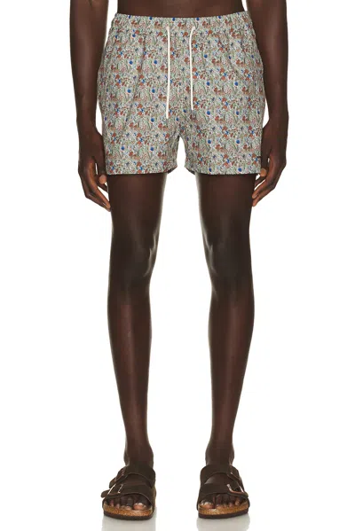 Edmmond Studios Wildlife Swim Shorts In Brown