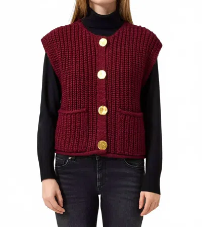 Eesome Chunky Knit Sweater Vest In Wine In Multi