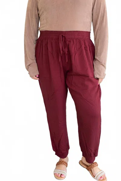 Eesome Cozy And Comfy Pull-on Joggers - Plus In Burgundy In Red