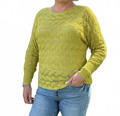 Eesome Falling For Crochet Sweater In Avocado In Multi