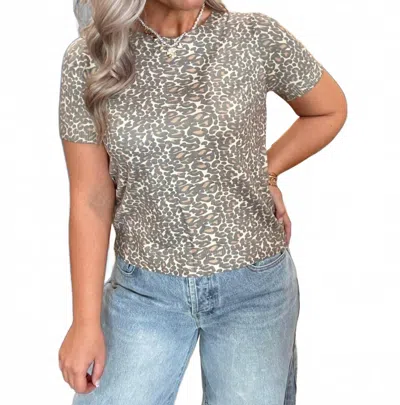 Eesome Honey Leopard Short Sleeve Sweater In Gold In Gray