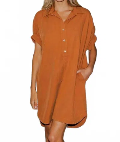 Eesome Mini Shirt Dress In Clay In Brown
