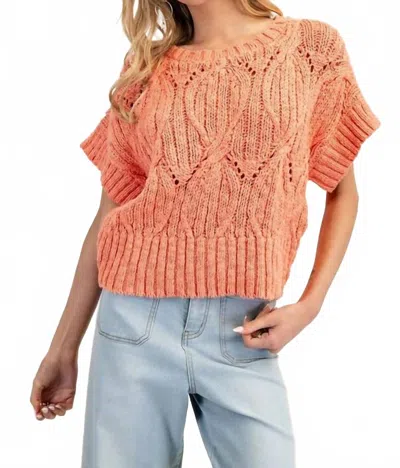 Eesome Pointelle Knit Short Sleeve Sweater In Pumpkin Spice In Multi
