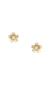 Ef Collection Mini Cherry Blossom Stud Earring In Metallic Gold