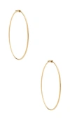 Ef Collection The Perfect Gold Hoop Earrings In Gold