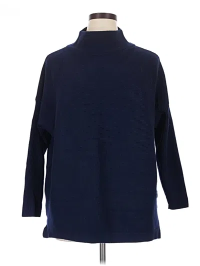 Pre-owned Efan Turtleneck Sweater In Blue