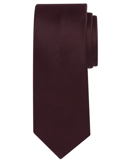 Egara Big & Tall Men's Skinny Solid Tie