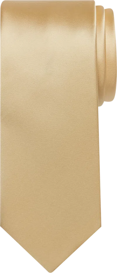 Egara Big & Tall Men's Skinny Solid Tie