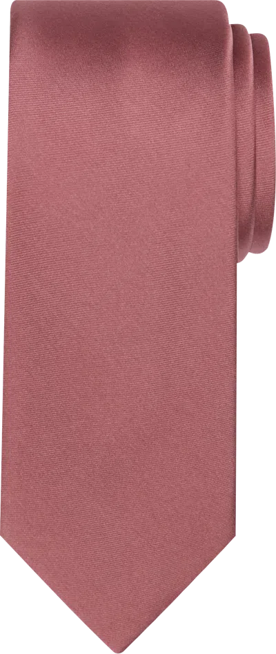 Egara Big & Tall Men's Skinny Solid Tie