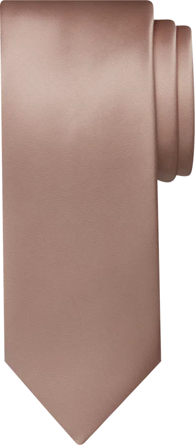 Egara Big & Tall Men's Skinny Solid Tie In Brown