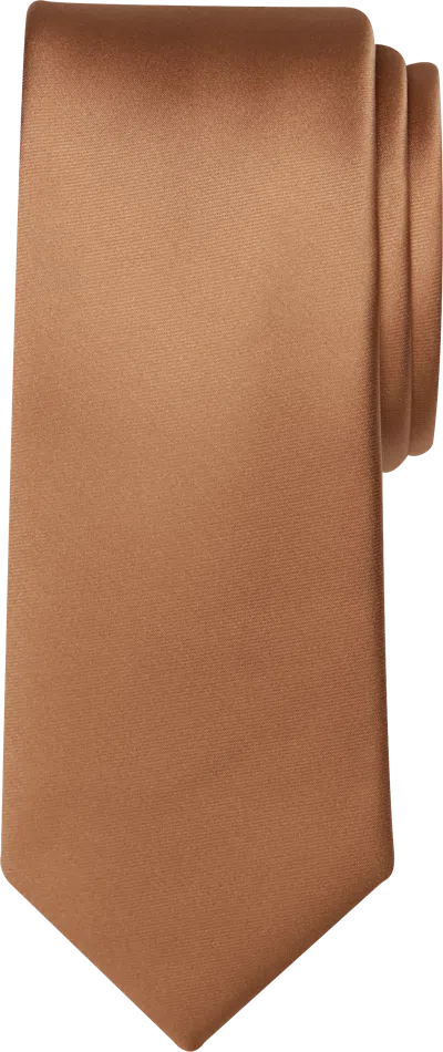 Egara Big & Tall Men's Skinny Solid Tie In Brown