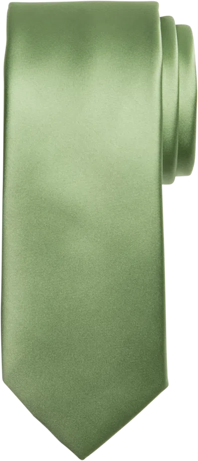 Egara Big & Tall Men's Skinny Solid Tie In Green