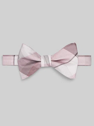 Egara Refined Plaid Pre-tied Bow Tie In Gray