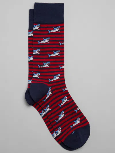 Egara Shark Stripe Socks