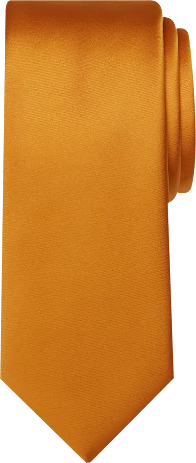 Egara Skinny Solid Tie In Gold