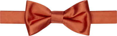 Egara Solid Formal Pre-tied Bow Tie