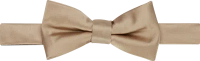Egara Solid Formal Pre-tied Bow Tie