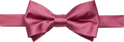 Egara Solid Formal Pre-tied Bow Tie