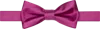 Egara Solid Formal Pre-tied Bow Tie