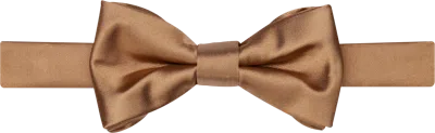 Egara Solid Formal Pre-tied Bow Tie
