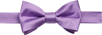 Egara Solid Formal Pre-tied Bow Tie Lilac - Size: One Size