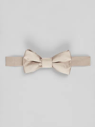 Egara Solid Pre-tied Bow Tie In Metallic