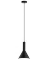 Eglo Canalello 1 Light Pendant With Matte Black Finish & Black With White Interior Metal Shade