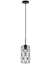 Eglo Estevau 1 Light Mini Pendant With Matte Black Finish & Metal Wire Cage Shade
