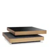 Eichholtz Shelton Coffee Table In Brass