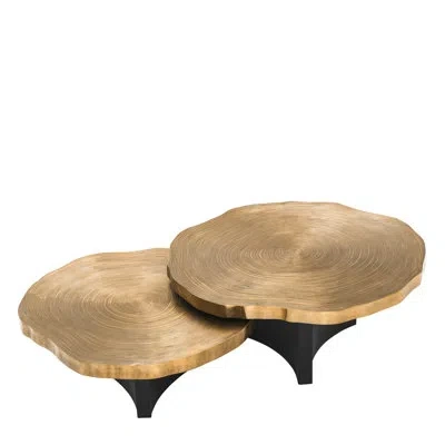 Eichholtz Wood Slice 2 Piece Coffee Table Set In Brass