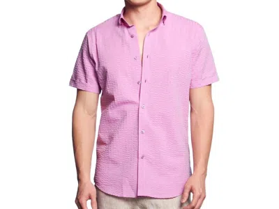 Eight X Confuchsia Seersucker Short Sleeve Button Down Shirt In Vino Pink
