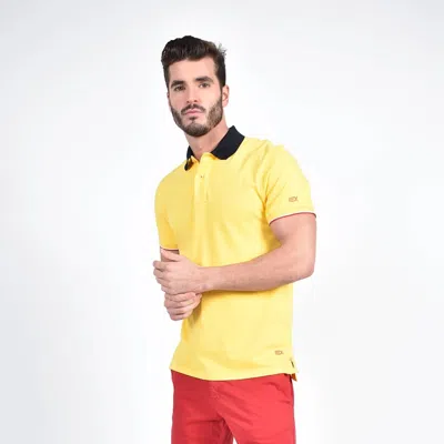 Eight X Double Sided Collar With Multi Colored Stripes Polo In Yellow
