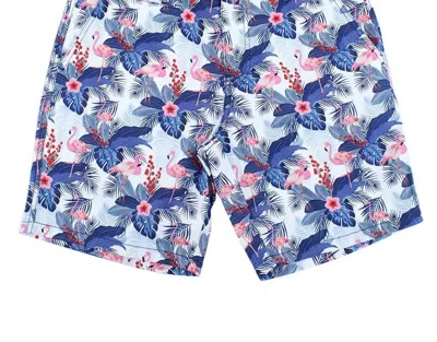 Eight X Men's Flamingo Print Shorts In Blue
