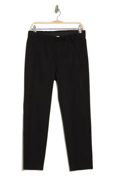 Eileen Fisher Ankle Pants In Black