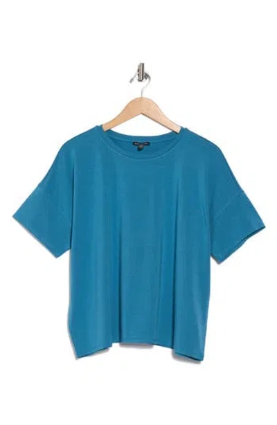 Eileen Fisher Bateau Neck Box Top In Blue