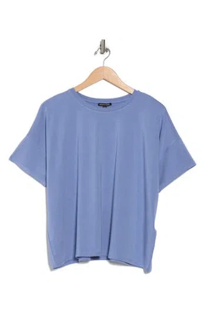 Eileen Fisher Bateau Neck Box Top
