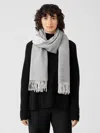Eileen Fisher Brushed Recycled Cotton Cashmere Scarf In Gray