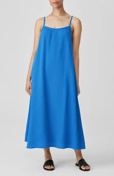 Eileen Fisher Cami Organic Cotton Gauze Dress In Calypso