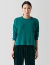 Eileen Fisher Cashmere Silk Bliss Crew Neck Top In Green