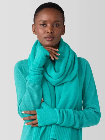 Eileen Fisher Cashmere Silk Bliss Glovelettes In Green